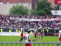 Pauli vs HSV2 05-06 038